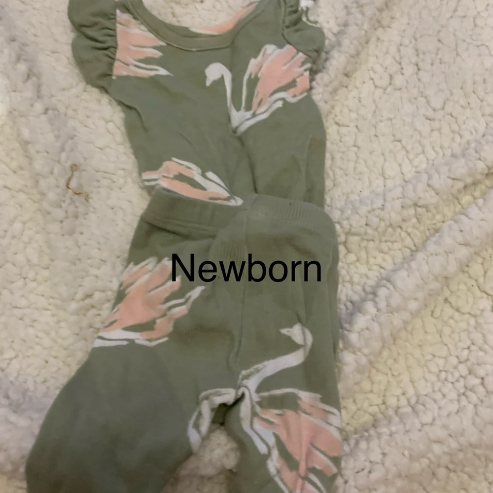 Newborn Green and Pink Swan Outfit
